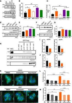 α4/α9 Integrins Coordinate Epithelial Cell Migration Through Local Suppression of MAP Kinase Signaling Pathways